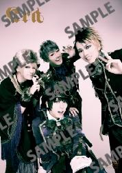 【未開封】14th anniversary LIVE 届け届け君の所へ Kra Kra（ケラ） | PS COMPANY公式モバイルサイト【PS mobile】